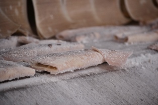 Congelados SB